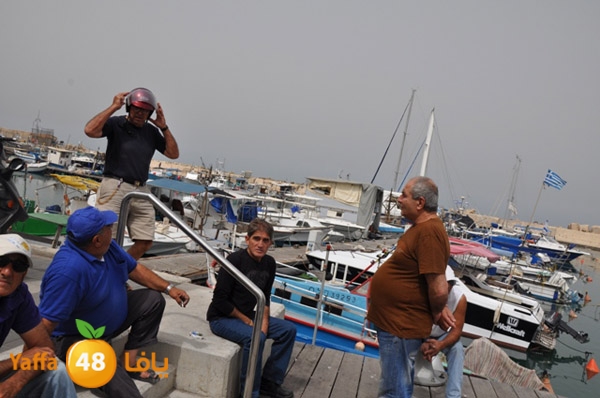 mina2yaffan51i (17).JPG